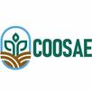 Coosae APK