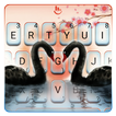 Black Swan Keyboard Theme