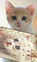 Cute Kitty постер