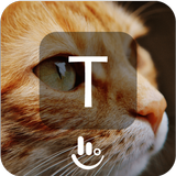 Cute Kitty simgesi