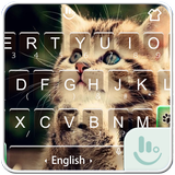 Cute Cat أيقونة