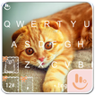 Exotic Kitty Keyboard Theme