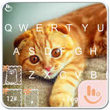 Exotic Kitty icon