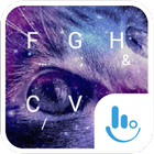 Galaxy Cat simgesi