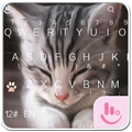 Tema de teclado gratuito Cats