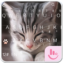 APK Cats Keyboard Theme