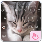 Cats Keyboard Theme icon