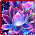 Lotus Butterfly Flash Keyboard Theme