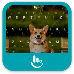 Welsh Corgi Keyboard Theme APK download