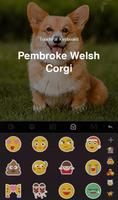 Welsh Corgi স্ক্রিনশট 3