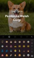 Welsh Corgi 截图 1