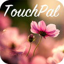 Pink Daisy Keyboard Theme APK