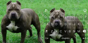 New Pitbull Keyboard Theme