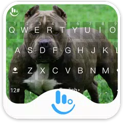 New Pitbull Keyboard Theme APK download