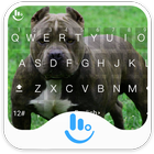 New Pitbull Keyboard Theme आइकन