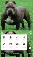 New Pitbull Keyboard Theme syot layar 1