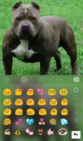 New Pitbull Keyboard Theme screenshot 2