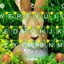 Spring Cute Rabbit Keyboard Theme APK