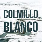 COLMILLO BLANCO icône