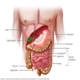 com.colonandstomach.alshujiry