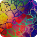 Colorful Wallpaper APK