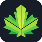 Leaf ikon