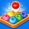 APK Color Loop Puzzle