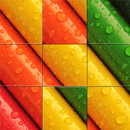 Color Puzzle Master APK