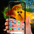 Transparent Camera Screen