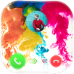 Color Call Screen Dialer theme