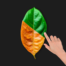 APK Change Color in Photos