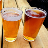 Colorado Brewery Finder Phones