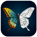 Tap To Color: Coloring Book APK