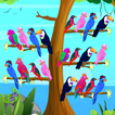 Bird Color Sort: Puzzle Games