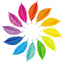 APK Colorful Leaves Wallpaper