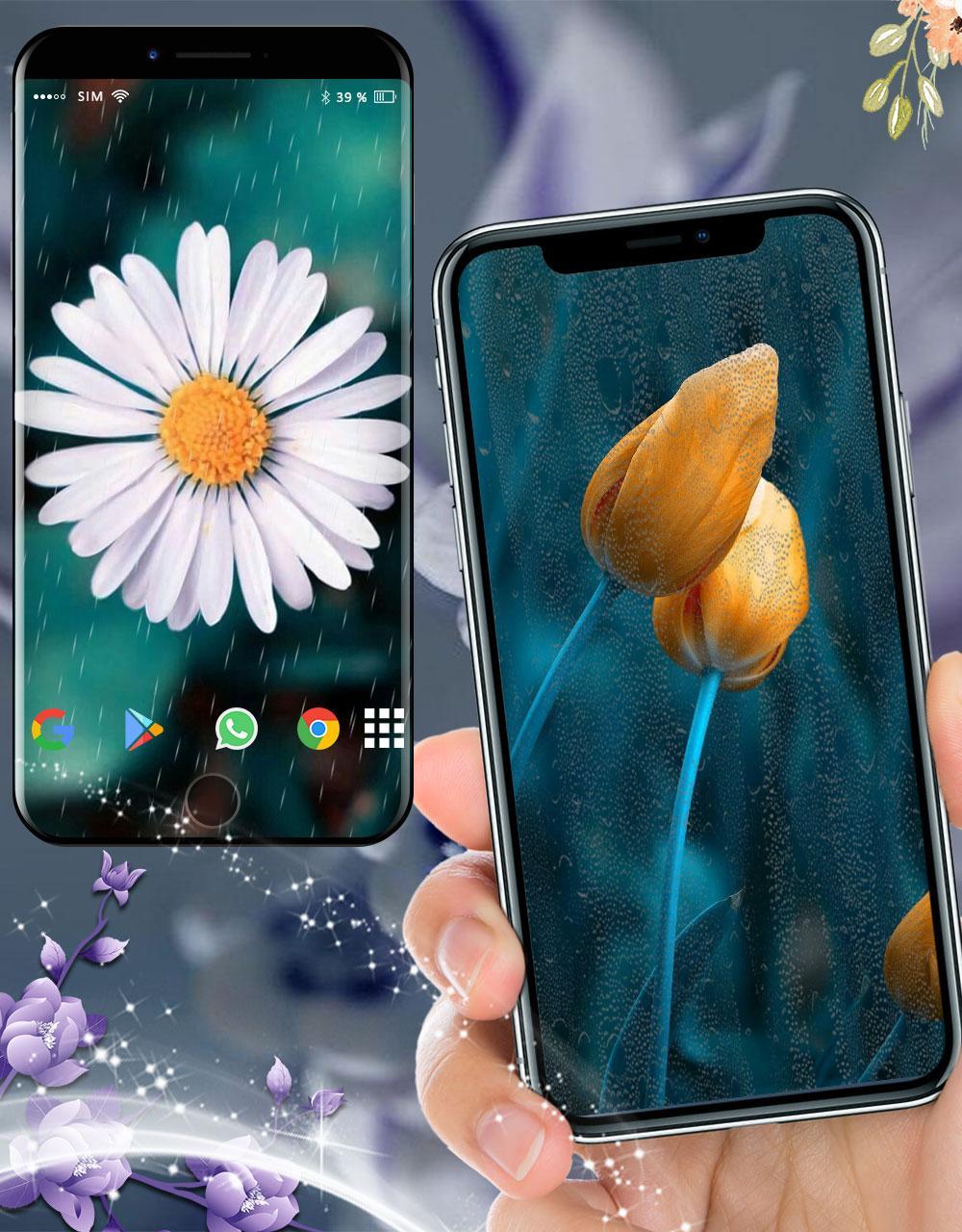 5000+ Wallpaper Bunga Efek HD Paling Keren 5000+ Wallpaper Bunga Efek HD Paling Keren