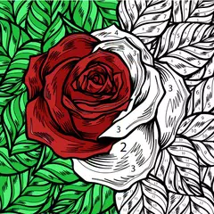 Color by Number: Coloring Book APK download