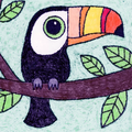 Toucan coloring book