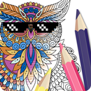 Owl Coloring Book - Pages APK