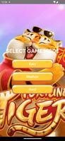 Poster Tiger Color Puzzle Game