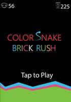 Color Snake Brick Crash: Snake постер
