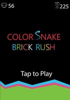 Color Snake Brick Crash: Snake Affiche