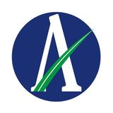 Alto Alegre APK