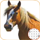 Horse Animal. Coloring Number APK