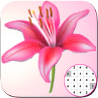 Lily Flowers Coloring By Number-PixelArt-icoon