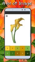 Lily Flowers Coloring By Number-PixelArt imagem de tela 1