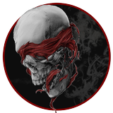 Cold Skeleton Fancy Theme icon
