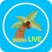 Yaja Live Video Chat APK