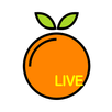 Bate-papo por vídeo ao vivo APK