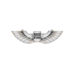 Road Wings icon